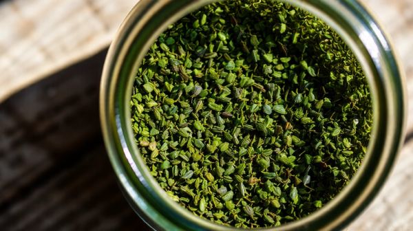 5 raisons de choisir la spiruline artisanale en brindille pour énergiser votre quotidien